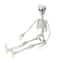 35" Jointed Hanging Skeleton Halloween Decoration